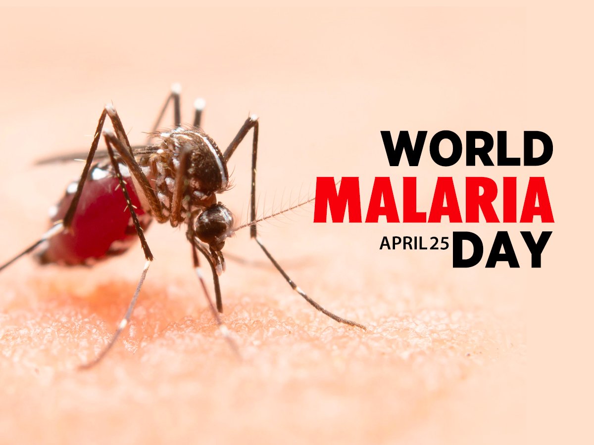 world malaria day